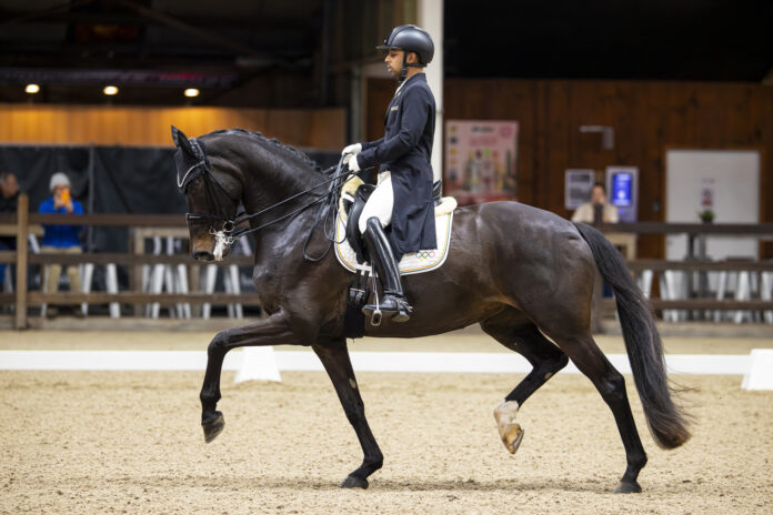 Belgium Dressage Events 2026